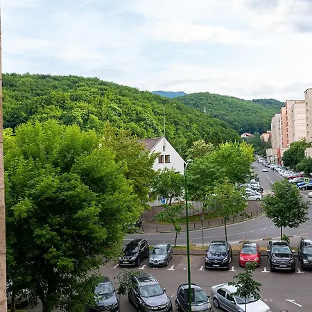 Metropolitan Wildscape View * Braşov
