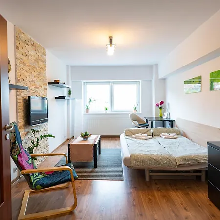 Metropolitan Wildscape View Braşov