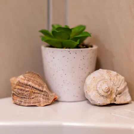 Metropolitan Wildscape View Lejlighed Braşov