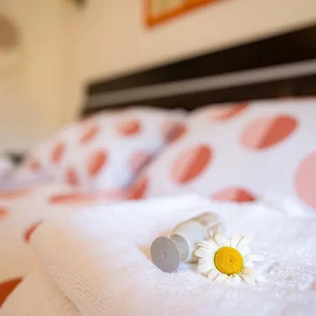 Metropolitan Wildscape View