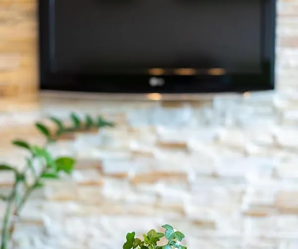 Metropolitan Wildscape View Braşov