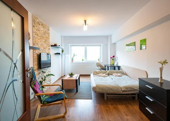 Metropolitan Wildscape View Braşov